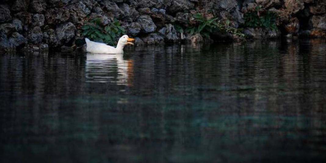 Yükseklerde kar alçakta sonbahar! İki mevsimi bir arada yaşatıyor: Fotoğraflarına bakmak bile ziyaretçi çekmeye yetiyor 5